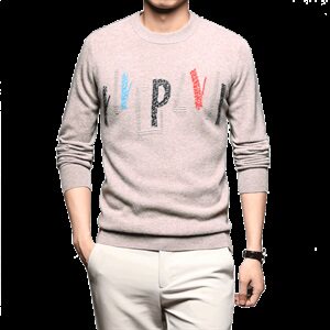 钱塘2020-2 秋冬A8812男士针织衫秋季男装P130图片