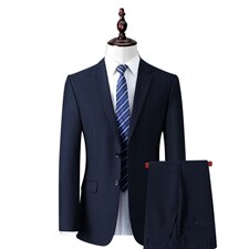 2023秋季中老年服装西服纯色西服套装休闲西服西裤MNSA8601-P230，男装西服套装，电商B212（原钱塘6029）