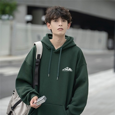 潮牌加厚连帽卫衣男简约休闲宽松ins加绒帽衫D328-WY23100-P65，男装卫衣，电商D328