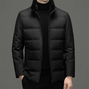 CSYR99918钱塘2020-2中年男士冬季新款立领简约厚款羽绒服P250图片