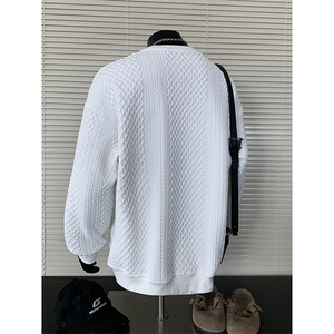 长袖t恤男春秋韩版潮流圆领卫衣打底衫百搭宽松内搭上衣WY69-P30图片