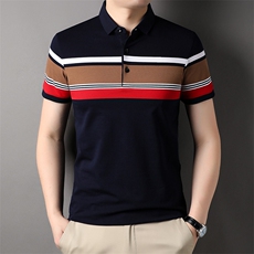 夏季保罗衬衫领汗衫衣服Polo衫男士短袖T恤中年休闲翻领半袖体恤，男装T恤，电商B212（原钱塘6029）