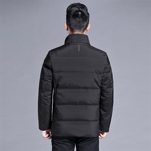 B8293钱塘2020-1冬季男士羽绒服高端90白鸭绒P255图片