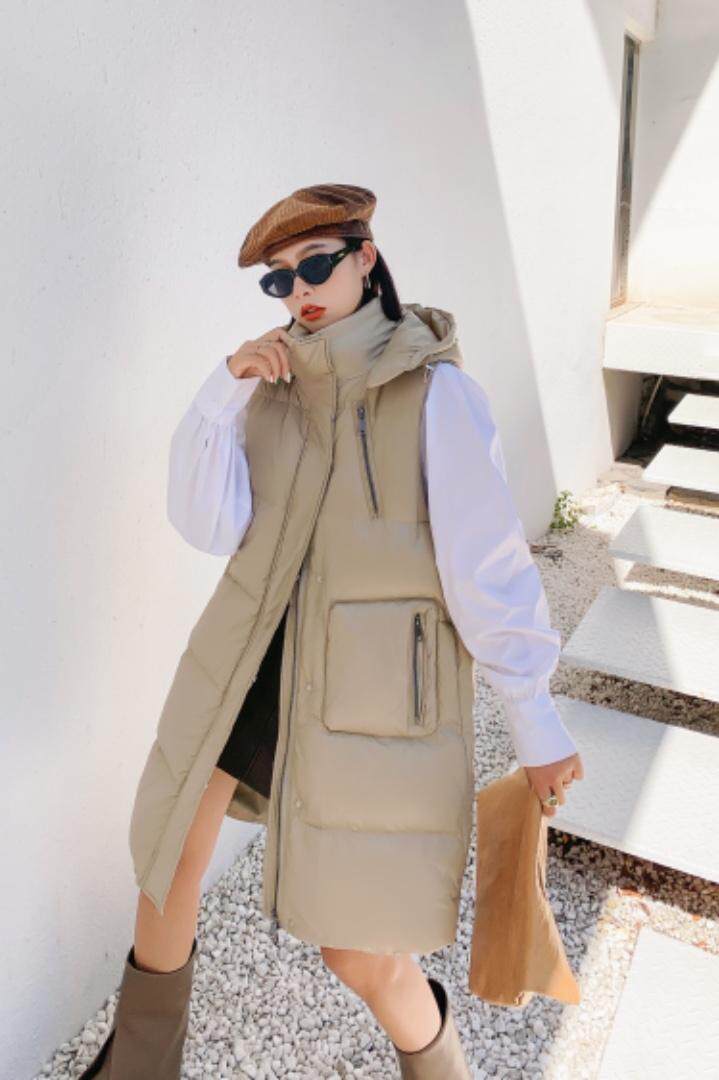 登石木子 DSMZ133543