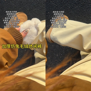 加厚仿兔毛绒休闲裤 D7048-TP5088防寒直筒滑雪裤男女登山裤图片