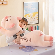 花小朵 软萌趴猪