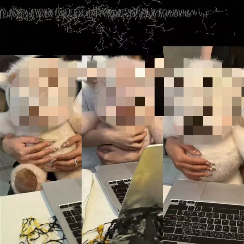 跑跑牛高地牛，加薇毛绒玩具