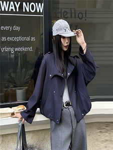 2025秋装新款时尚百搭个性舒适简约短外套图片
