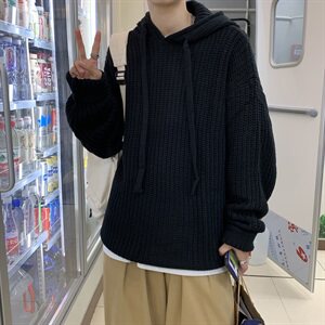 20秋冬 港风连帽针织衫毛衣中性情侣纯色百搭韩版潮 W01/图片