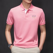 夏季新款男士翻领短袖t恤中年有领男装上衣服休闲POLO衫，男装T恤，电商B212（原钱塘6029）