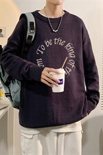 圆领男毛衣2024新款主推量大有差价现货A161-2-MY8813-P50,男装针织衫/毛衣,电商A161-2