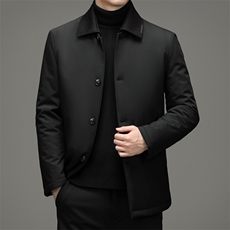 冬棉衣男中青年翻领棉服冬季加厚夹克外套爸爸装DFLDM16005-P195，男装棉衣，电商B212（原钱塘6029）