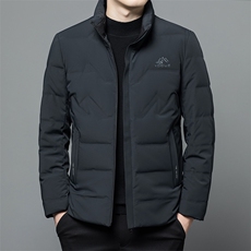 CAH2811钱塘2020-冬季厚款立领中年男士时尚休闲百搭羽绒服P195，男装羽绒服，钱塘207-2