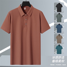 2025年夏季新品翻领Polo冰丝短袖锦纶品质HS1367-P38，男装T恤，星座1206（原A206）