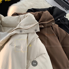B225-W8632-P118-X148----聚酯纤维-正肩刺绣棉服，男装棉衣，电商B225