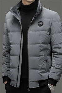 DF99708钱塘2020-2冬季厚款商务休闲简约中年男士羽绒服P245图片