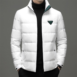 2023年新款羽绒服P285图片
