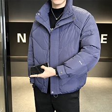 90%标白鸭绒2025冬季立领休闲短款加厚羽绒服外套M8752-P290，男装羽绒服，电商A413