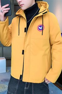 2020冬装新款潮牌连帽宽松棉衣男士百搭外套 A438-DT5555图片