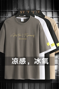 冰氧仿棉短袖网格挂拍体恤休闲百搭字母印花男上衣TC3152-P22控48图片