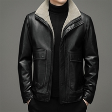冬季中青年男立领皮羽绒服爸爸装加厚棉衣保暖外套DFLDY8009-P295，男装羽绒服，电商B212（原钱塘6029）