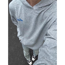 纯棉刺绣胶标连帽卫衣ZW0120-P50，男装卫衣，星座313A(原308A-2)