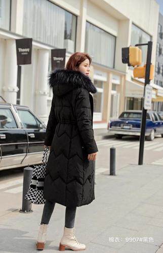 红.炫影 HZHXY101905