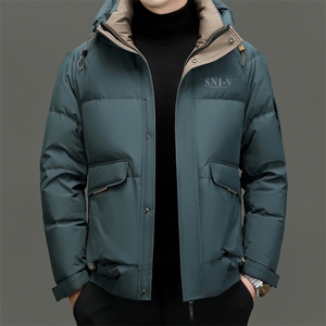 DF22334钱塘2020-2新款冬季时尚休闲有帽简约中年男士羽绒服P290图片