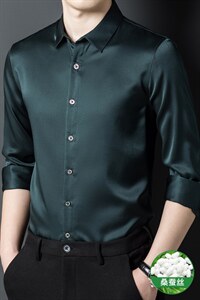 2023秋季新款中年男长袖衬衫薄款纯色宽松免烫潮男衬衣图片