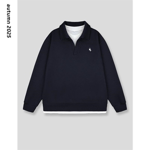网图 秋季拼接假两件华夫格刺绣翻领卫衣潮流百搭上衣 D480 特P38图片