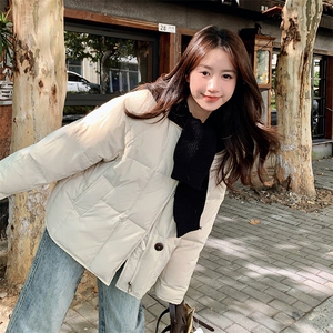 现货韩系连帽休闲阔版短款羽绒服P295K398-7719图片