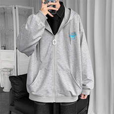 20年秋季新款连帽宽松大码刺绣开衫卫衣第2套图DS-B293-G750-P65，男装卫衣，电商A306