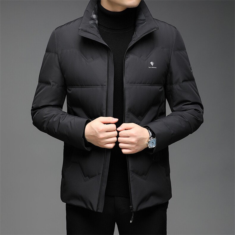 DF8238钱塘2020-2冬季厚款时尚休闲立领中年男士简约羽绒服P225，男装羽绒服，钱塘207-2