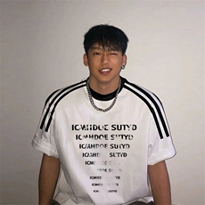 夏季美式高街重磅纯棉三条杠织带撞色男女短袖T恤ZD339-特P30，男装T恤，电商A486