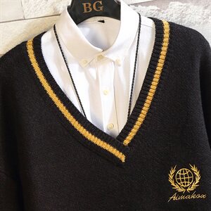 M02-P65    日系男士大码秋季学院风V领针织套头毛衣外套 黑色图片