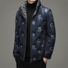 DZ11678钱塘2020-3中年男士时尚休闲潮流帅气冬季厚款羽绒服P220，男装羽绒服，钱塘207-3