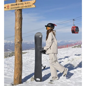 冬新户外两件套滑雪服套装男女防风防水情侣款保暖外套TZ033-P220图片