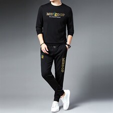 春秋季男士长袖t恤男中青年商务休闲运动套装新款男装两件套潮，男装休闲套装，电商B212（原钱塘6029）