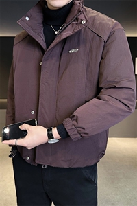 标50绒 店主风2025新款男士立领短款羽绒服外套B328-9820-P215图片