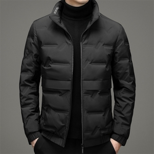冬季新款立领羽绒服男常规外衣休闲保暖纯色羽绒外套HB9910-P210图片
