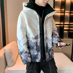 现货 外贸侧飞图立领光板团体服班服宽松韩版情侣学生外套羽绒服图片