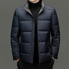 冬季男士白鸭绒羽绒服加厚保暖商务休闲短款立领冬装品质外套男，男装羽绒服，钱塘6003（原4033）