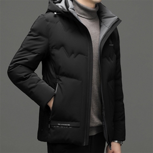 DF22603钱塘2020-2商务百搭简约厚款连帽新款中年男士羽绒服P245图片