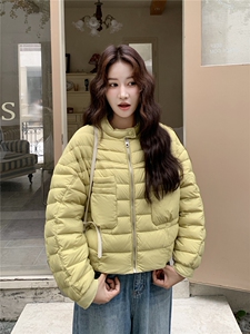 极简风休闲轻羽绒服女2025冬季新款韩系立领保暖白鸭绒百搭厚外套图片
