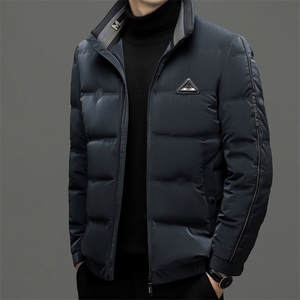 羽绒服男士新款秋冬季宽松休闲中青年保暖立领外套 FF2803-P255图片