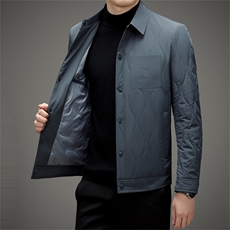 BAMJ-8982钱塘2020-2中年冬季厚款翻领简约商务百搭羽绒服P152，男装羽绒服，钱塘207-2