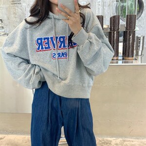 纯韩版休闲字母卫衣图片