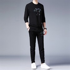 中青年运动套装男士2023春秋季休闲圆领印花长袖T恤上衣两件套，男装休闲套装，电商B212（原钱塘6029）