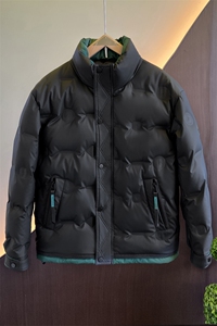 新标50白鸭绒可提供报告男士羽绒服C208-8900-特P138图片