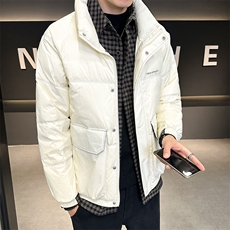 标502025新款男士白鸭绒羽绒服立领百搭时尚外套YR8096-P200，男装羽绒服，电商A413